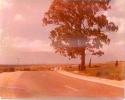 Vista de la carretera principal.