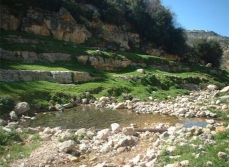 La reserva natural de agua de Al-Zarqa.