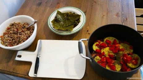20160508_Grape-leaves-10