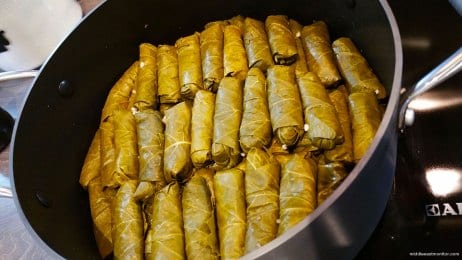 20160508_Grape-leaves-12
