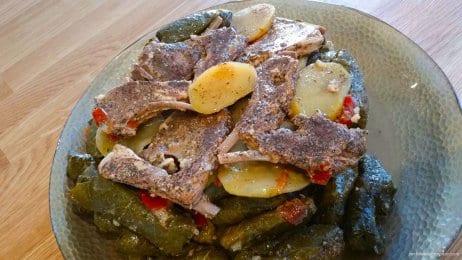 20160508_Grape-leaves-2