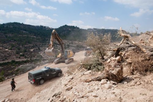 Las Fuerzas de Seguridad israelíes arrancan olivos en Cisjordania / Fuente: Danya Mustafa