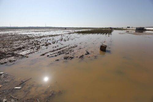 Las fuerzas israelíes abrieron tiendas de agua de lluvia que permitieron que el agua inundara Gaza el 15 de enero de 2020 [Mohammed Asad / Middle East Monitor]